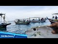 pesta sauk ikan barat di perairan Marang Terengganu