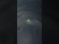 nasa s amazing picture of a green lightning on jupiter