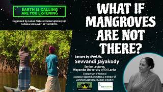 What If Mangroves are not There? ( සිංහල \u0026 English) by Prof. Sevvandi Jayakody