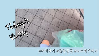 [유디니 vlog] 오늘의 한일