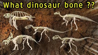 Dinosaur bones found 9 | Archelon, Einiosaurus, Jinzhousaurus, Megalosaurus, Piatnitzkysaurus | 공룡 뼈