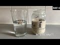 eng sub サワードウ種の作り方 天然酵母 ルヴァン種　easy sourdough starter