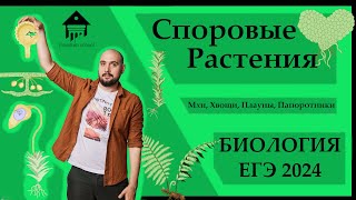 Споровые растения - МХИ, ХВОЩИ, ПЛАУНЫ, ПАПОРОТНИКИ для ЕГЭ 2024 |ЕГЭ БИОЛОГИЯ|Freedom|