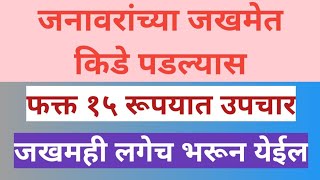 जनावरांच्या जखमेत किडे पडल्यास घरगुती उपाय||Creative शेतकरी||covid19||घरी राहा सुरक्षित राहा||