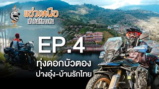 แอ่วเหนือเก้าวันให้หายคัน  EP.4 ทุ่งดอกบัวตอง-ปางอุ๋ง-บ้านรักไทย