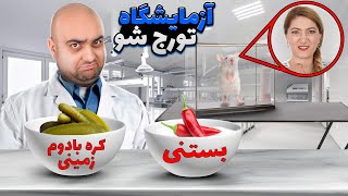 چالش ازمایشگاه تورج شو 😁😁 ماریا موش ازمایشگاهی تورج