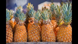 Colonized for Profit: The Untold History of Hawaii