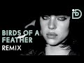 Billie Eilish - Birds of a Feather (Duo Dive Remix) [Music Video]