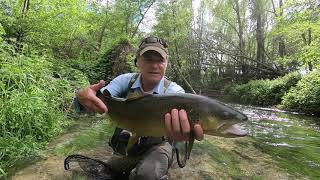 Una big trout ....due grandi emozioni