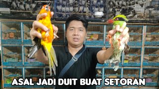 ASAL JADI DUIT BUAT SETORAN