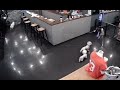 Husky kills Poodle in grooming cafe, South Korea. *Graphic*