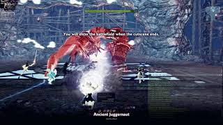 Vindictus Charon - Royal Army Raid Juggernaut