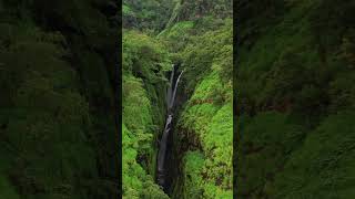 Drone shot of Saatsada waterfall ♥️ #maharashtra #monsoon #raigad