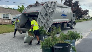 Harvey’s Mack MR Garbage Truck Packing Heavy Summer Yard Waste