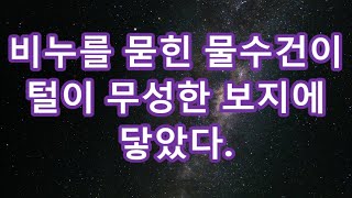 [감동사연]만취 해버린 사촌 여동생과 부부처럼 앞뒤로 (썰라디오) (사연읽어주는여자).#썰맘 #그썰 #사연라디오 #시댁이야기 #사이다사연 #감동