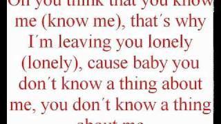Kelly Clarkson - Mr know it all Lyrics (official Music Video Lyrics on screen HQ) download
