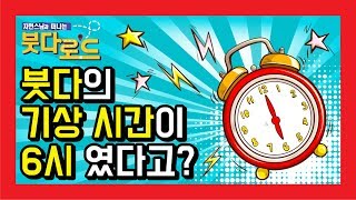 붓다 당시의 기상 시간은 6시였다고? - 자현스님의 붓다로드28회