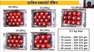 Pomagranate export quality management 1 निर्यातक्षम डाळिंब उत्पादन