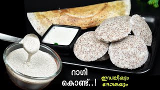 പഞ്ഞിപോലുള്ള റാഗി ഇഡലിക്കും ദോശയ്ക്കും മാവ് അരക്കേണ്ടത് ഇങ്ങനെ ആണ് 👌 Perfect Ragi Idli Dosa Batter 💯