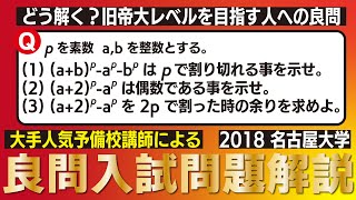 【トリセツが終わった人へ】大学入試 大学受験 数学 解説 良問 2018年名古屋大学 数学A・整数の性質 高校数学