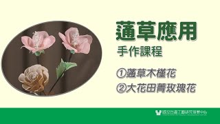 2021蓪草應用手作種子教師研習營紀實