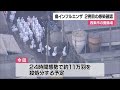 「ニワトリが死んでいる」西条市の採卵鶏農場で愛媛県２例目となる鳥インフルエンザ確認【愛媛】 24 12 19 11 59