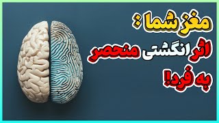 مغز هر فرد: یک اثر انگشت بی‌نظیر! | چرا مغز شما خاص است؟