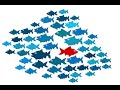 Understanding Outlier Detection with Python
