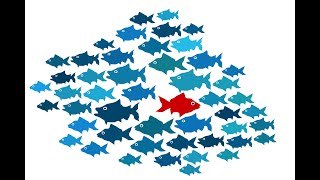 Understanding Outlier Detection with Python