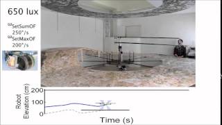 Beerotor Video (Multimedia Extension 1); Credits: Expert \u0026 Ruffier, ISM (AMU / CNRS)