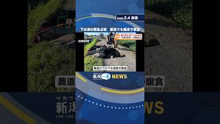 道路の陥没…過去に県内でも転落事故　下水道の緊急点検 #shorts