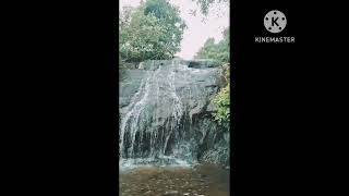 Wayanadan vlogs part-1 / Waterfalls