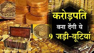 करोड़पति बना देंगी ये 9 जड़ी-बूटियां l Miracle Herbs to become a millionaire