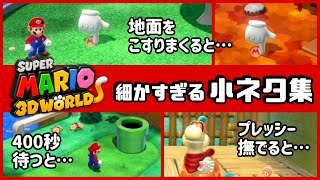 【スーパーマリオ 3Dワールド】Switch版に隠れた細かすぎる小ネタ集！【3Dワールド＋フューリーワールド】@レウンGameTV