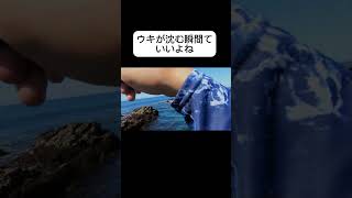 ウキ釣りで棒ウキが沈む瞬間まとめ #フカセ釣り #磯釣り #磯釣り #shorts