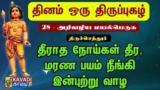 அறிவழிய மயல்பெருக| ARivazhiya mayalperuga | திருப்புகழ் 28| Thirupugal 28 #திருப்புகழ் #kaavaditv