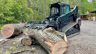 Overdue Skid Loader Maintenance (Bobcat T590) + Pulling Down a Big Oak Tree