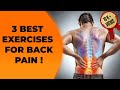 3 Best Exercises for Back Pain | कमर की दर्द को कम करें 3 Exercises से ✅