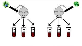 Mesenchymal CTC Enumeration using the CellSearch System