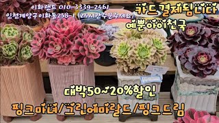 내꺼하고싶은아이들/대박50~20%할인 /핑크마녀. 이화랜드010-3339-2461 나는농부다282회출연