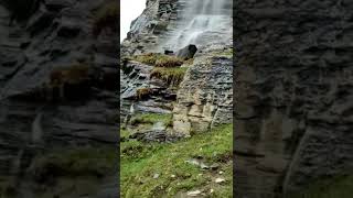 Waterfall Madaklasht Chitral #chitral #madaklasht #pakistan #farsi #beautiful #hiking #love #live