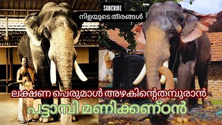 പട്ടാമ്പി മണികണ്ഠൻ l Pattambi Manikandan  l Elephant # Nilayude Theerangal