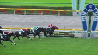 府中牝馬ステークス　1着テイエムオーロラ号（国分恭介騎手）2010年10月17日（日）東京競馬場