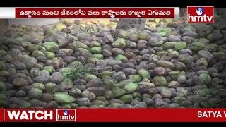 కొబ్బరి రైతుల పై కరోనా కాటు | Corona Effect on Uddanam Coconut Farmers | hmtv News