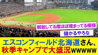 【日本ハム】エスコンフィールドさん、秋季キャンプで大盛況wwwwwww　【プロ野球反応】