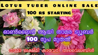 താമര ട്യൂബർ ഓൺലൈൻ ആയി 100 രൂപ മുതൽ |Shez zone