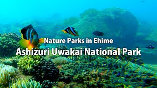 Nature Parks in Ehime \