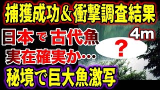 【ゆっくり解説】体長4m級の姿が鮮明に捉えられた！捕獲成功情報のある日本の2大巨大魚、「大鳥池」と「高浪の池」の主の正体は古代生物なのか…調査結果が衝撃！【古代生物生存】