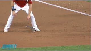 The Twins Released the Rally Squirrel to blow the game open in the 5th, a breakdown
