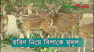 নিজের খামারের ছয়টি হরিণ জবাই করে মাংস পাচারের অভি‌‌যো‌গে জেমস মৃদুল হালদার বিপাকে পড়েছেন ।